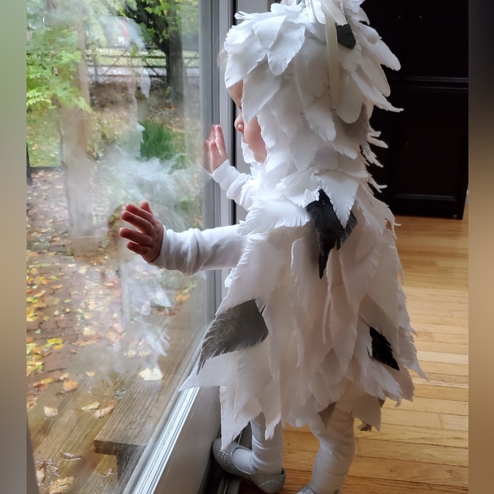 Baby / Toddler Snowy Owl / Hedwig Costume